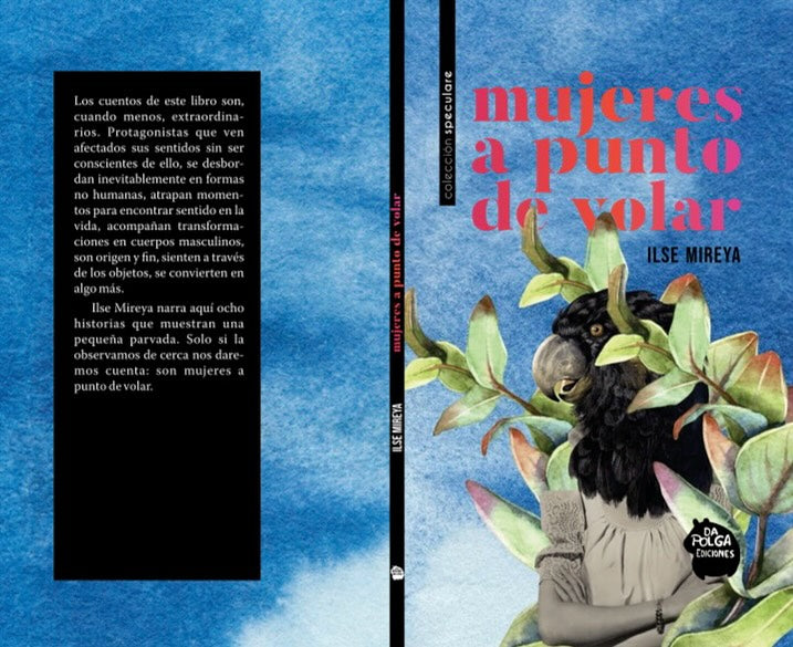 Mujeres a punto de volar, Ilse Mireya