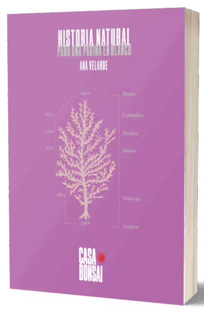 Historia natural para una página en blanco, Ana Velarde (portada azul)