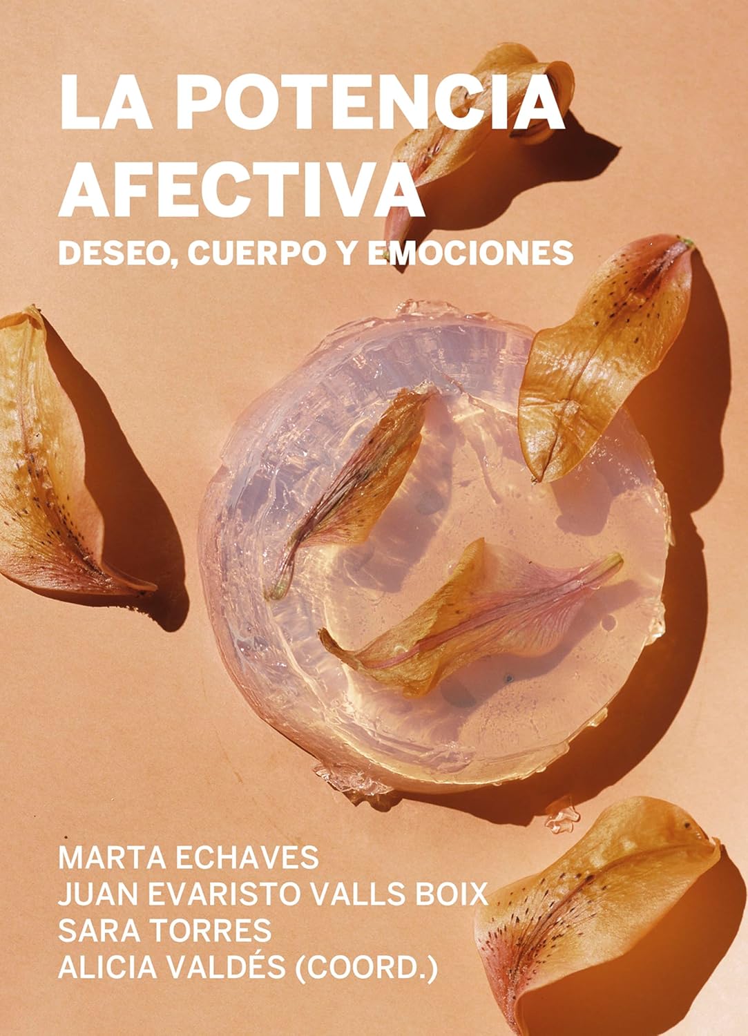 La potencia afectiva