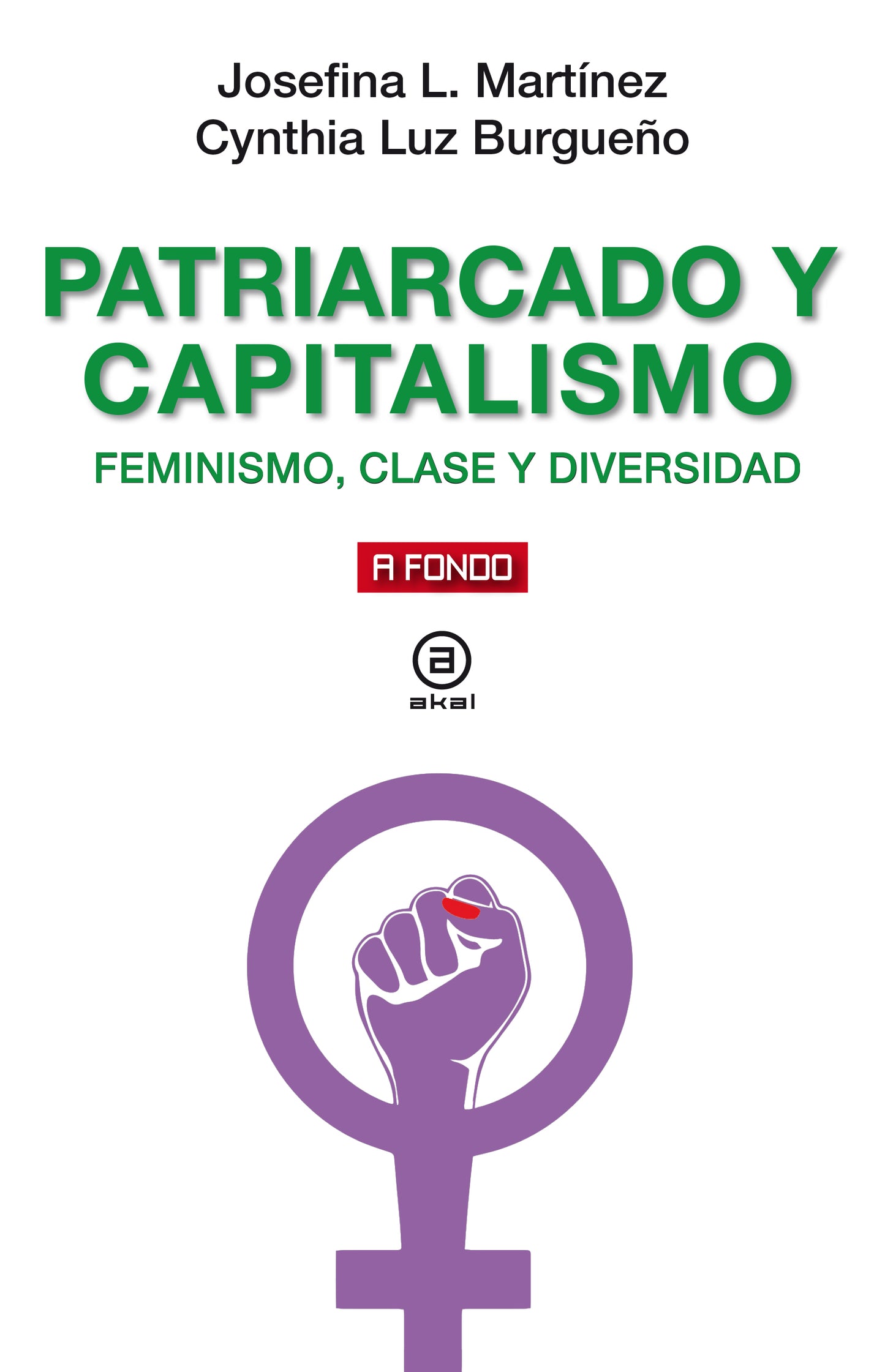 Josefina L. Martínez, Patriarcado y capitalismo: feminismo, clase y diversidad