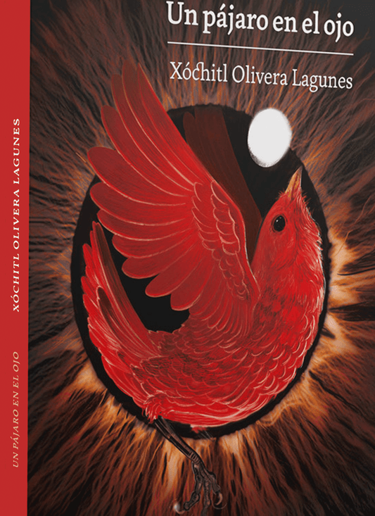 Un pajaro en el ojo de Xóchitl Olivera Lagunes
