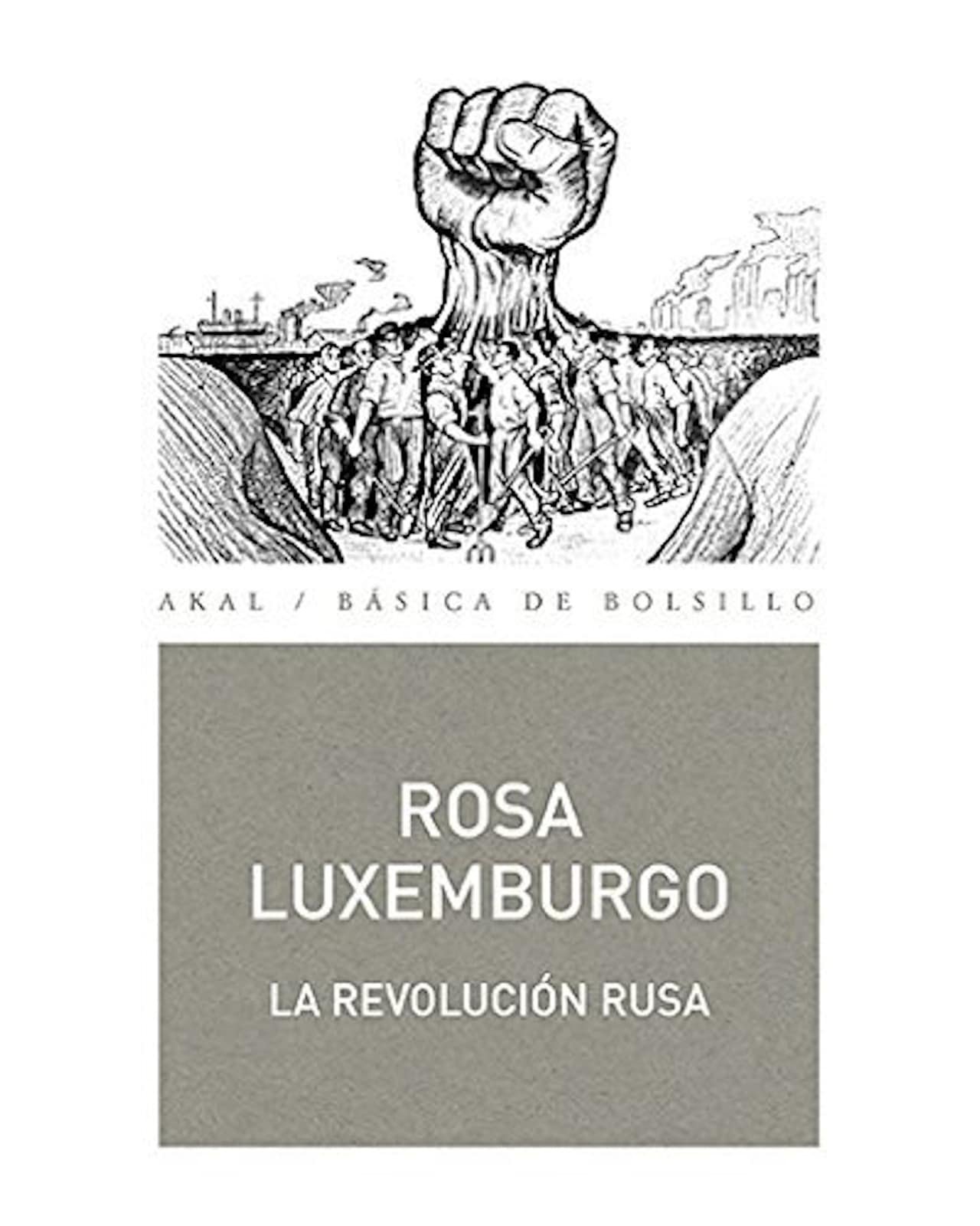 Rosa Luxemburgo, Revolución rusa