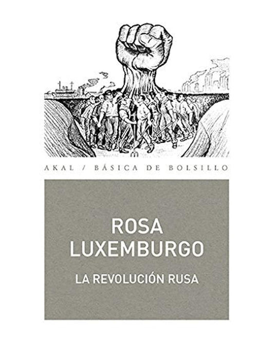 Rosa Luxemburgo, Revolución rusa