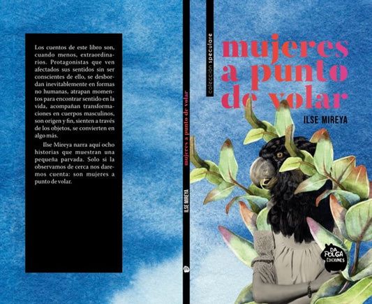 Mujeres a punto de volar, Ilse Mireya