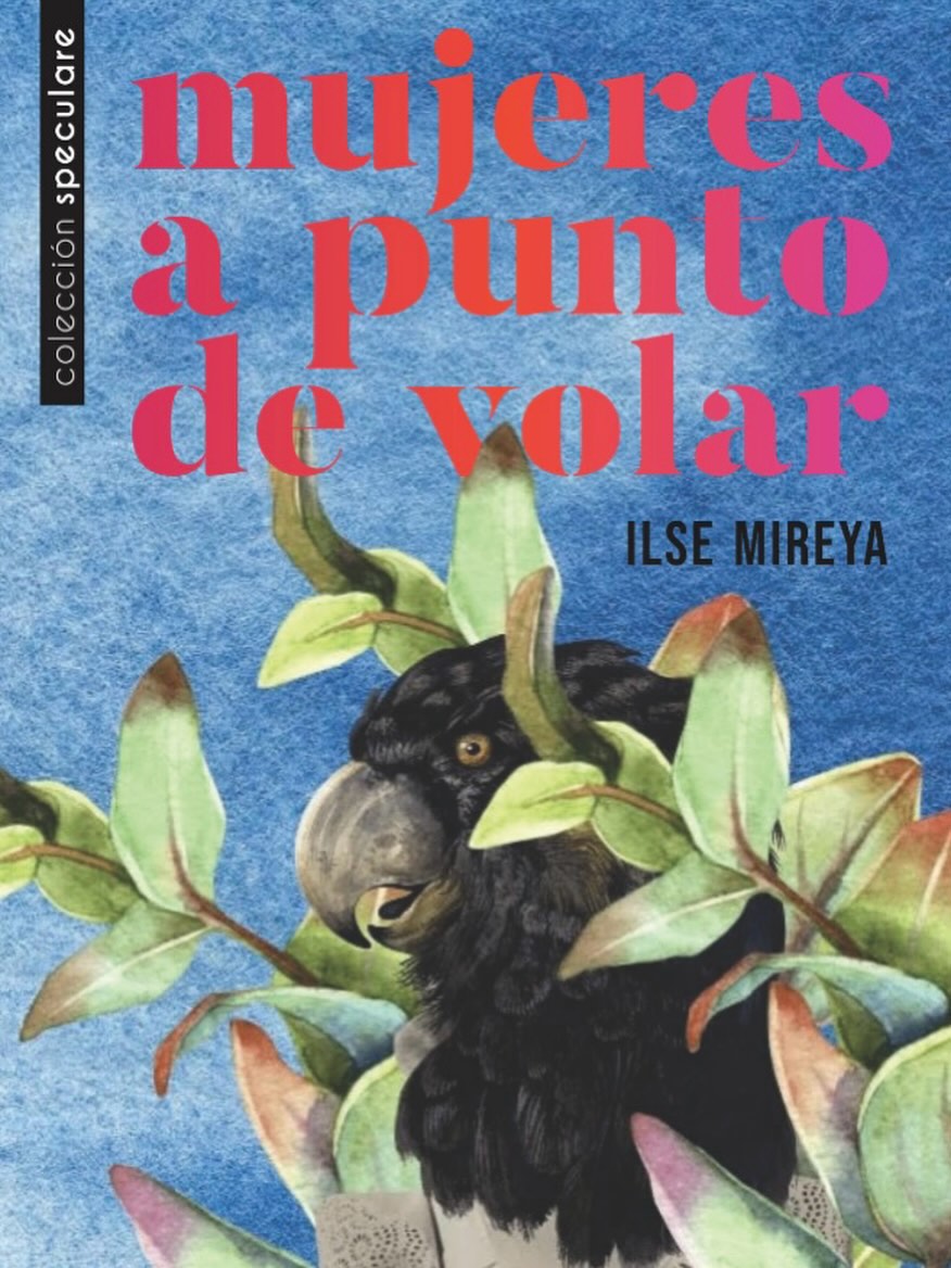 Mujeres a punto de volar, Ilse Mireya