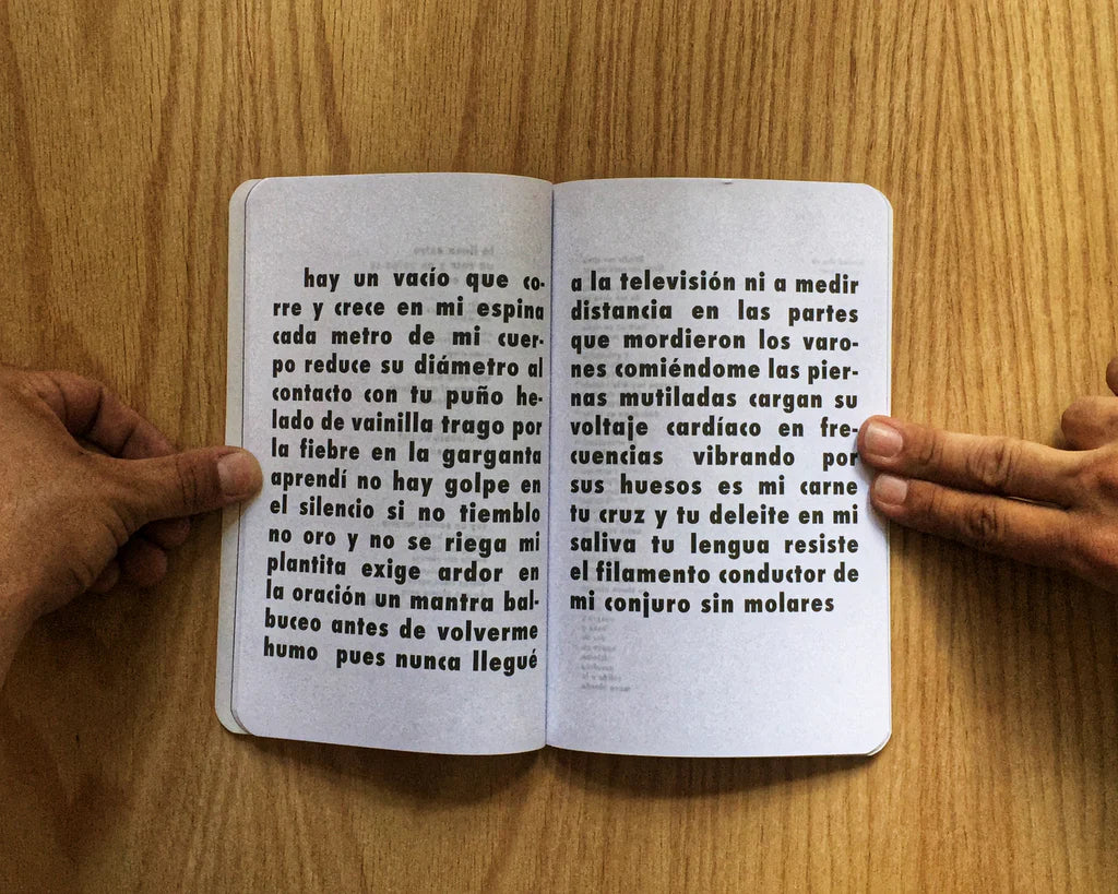 Los buenos términos - Fernanda Sandoval.