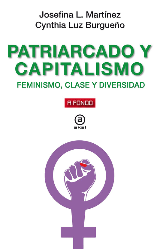 Josefina L. Martínez, Patriarcado y capitalismo: feminismo, clase y diversidad